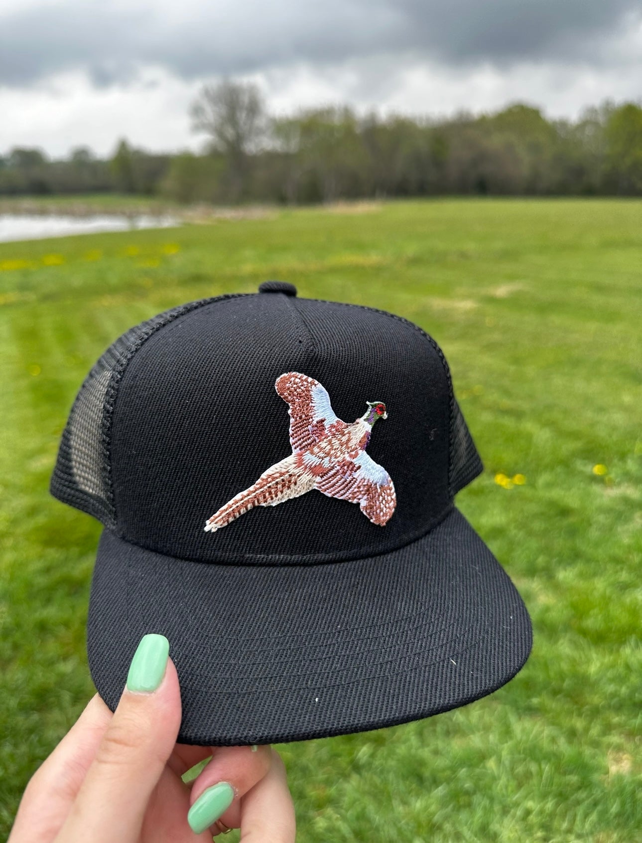 Black Flying Pheasant