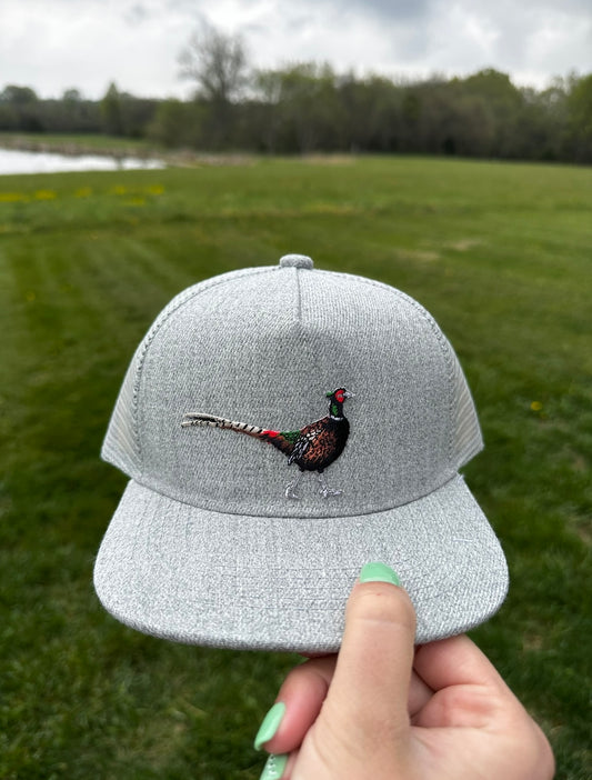 Grey Pheasant