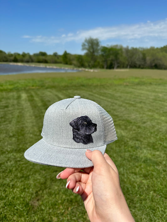 Black Lab Grey Hat